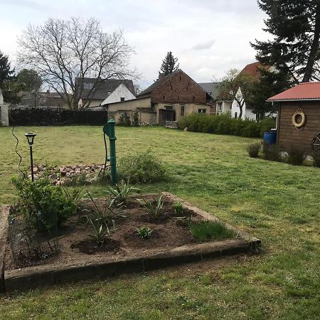 Ferienhaus Leo Boblitz Zewnętrze zdjęcie